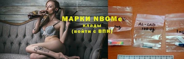 круглые Аркадак