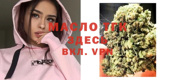 хмурый Арсеньев